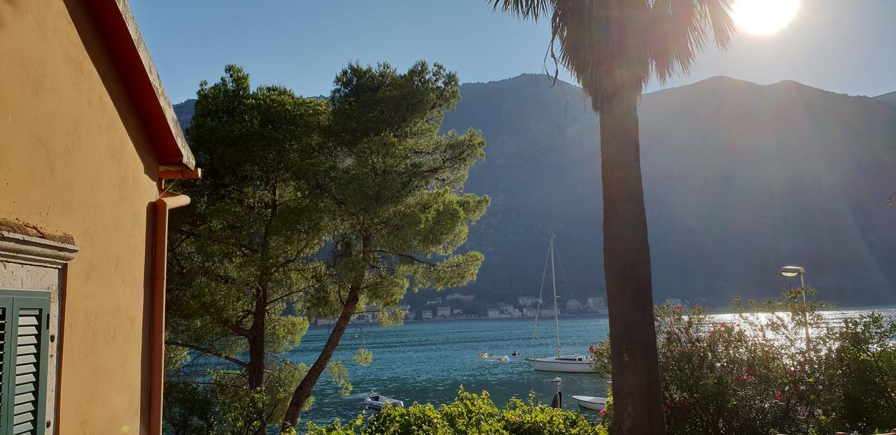 Garden Apartmant Near Sea Apartment