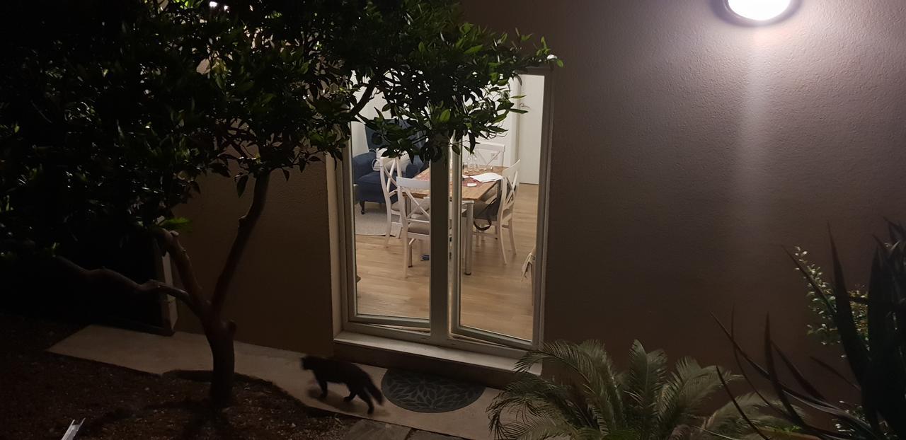 Garden Apartmant Near Sea Apartment
