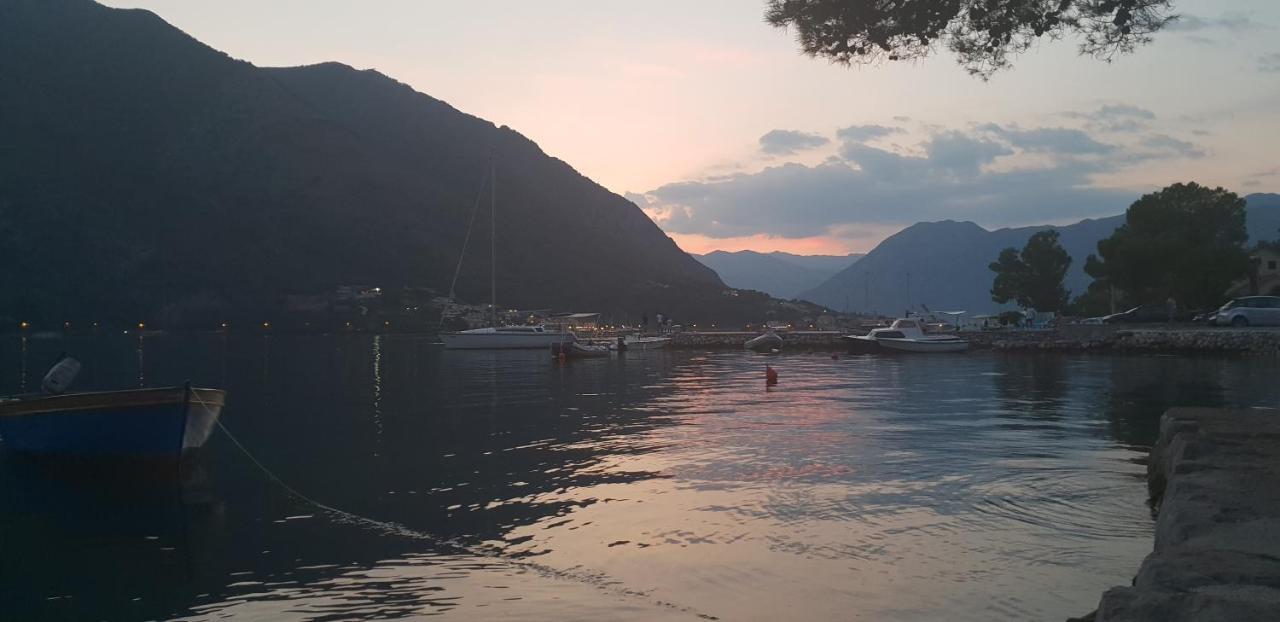 Garden Apartmant Near Sea * Kotor